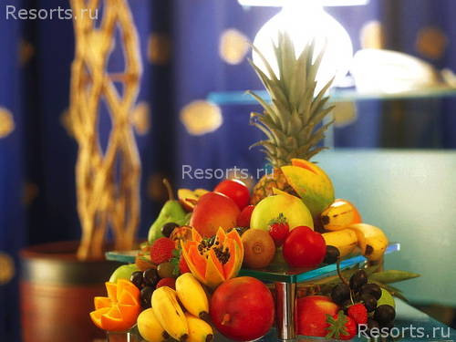 Hilton Hotel 6